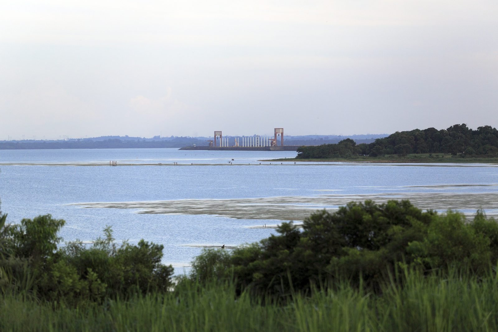 O reservatório de Itaipu visto da margem, com vegetação em primeiro plano e estruturas da usina ao fundo